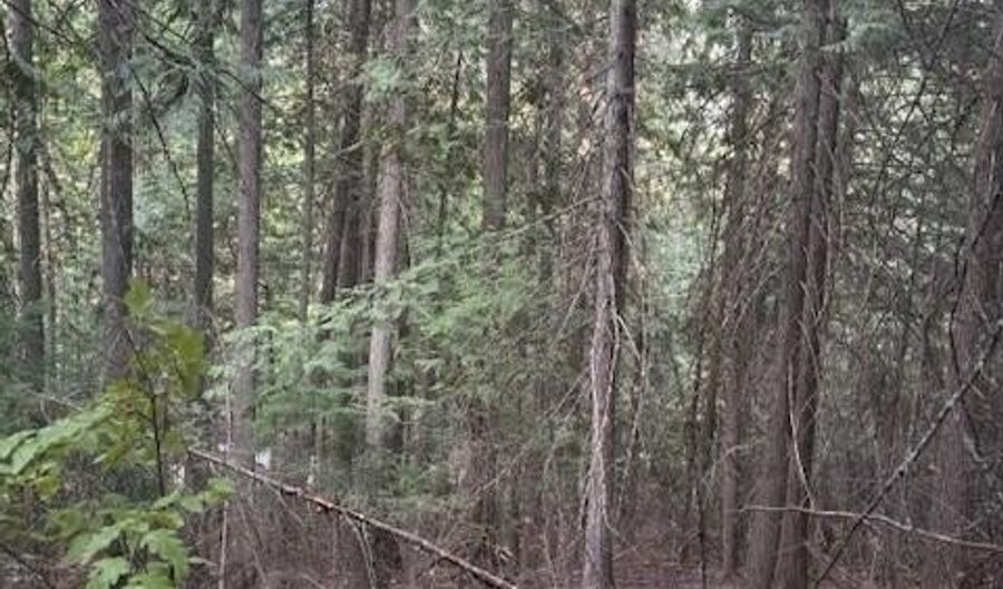 TBD Big Buck Rd, Bayview, ID 83803 - 0 Beds, 0 Bath
