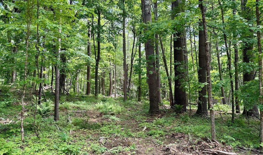 Great Hollow Road, Cornwall, CT 06753 - 0 Beds, 0 Bath