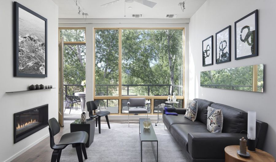 104 Evans Rd 207, Basalt, CO 81621 - 1 Beds, 1 Bath