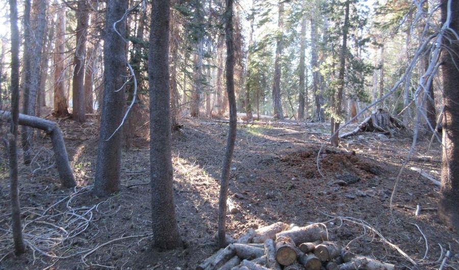 175 Silver Tip Dr, Bear Valley, CA 95223 - 0 Beds, 0 Bath