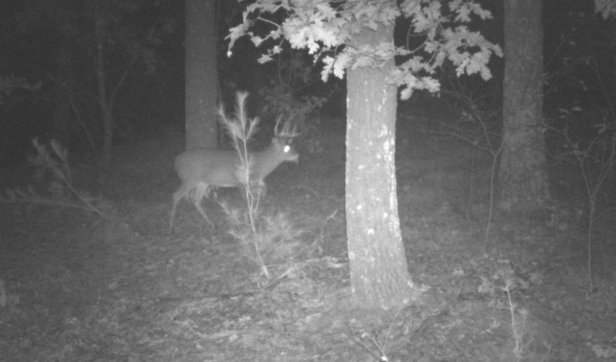 8752 HWY A, Almond, WI 54909 - 0 Beds, 0 Bath