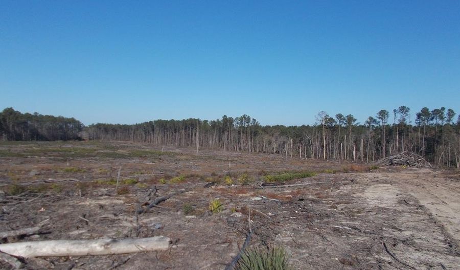 0 MT. ZION CHURCH Rd, Axson, GA 31624 - 0 Beds, 0 Bath