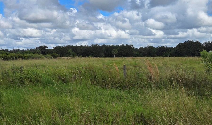 Se Piggy Back Road, Arcadia, FL 34266 - 0 Beds, 0 Bath