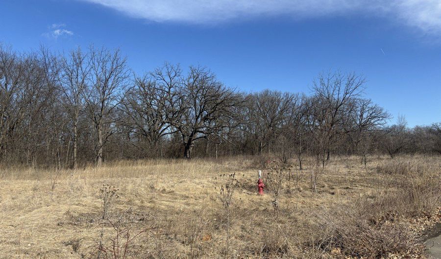 Chippewa Trail lot 130 & Lot 131, Albany, IL 61230 - 0 Beds, 0 Bath