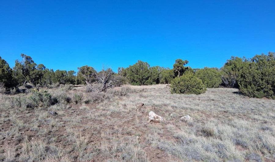 22 N 8171, Concho, AZ 85924 - 0 Beds, 0 Bath