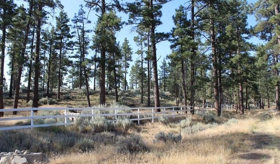 030 Butterfly Peak Rd, Mountain Center, CA 92561 - 0 Beds, 0 Bath