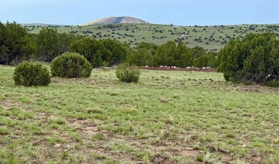 121 125 127 & 129 Co Rd 8051, Concho, AZ 85924 - 0 Beds, 0 Bath