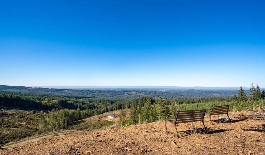 No SIte Address, Battle Ground, WA 98604 - 0 Beds, 0 Bath