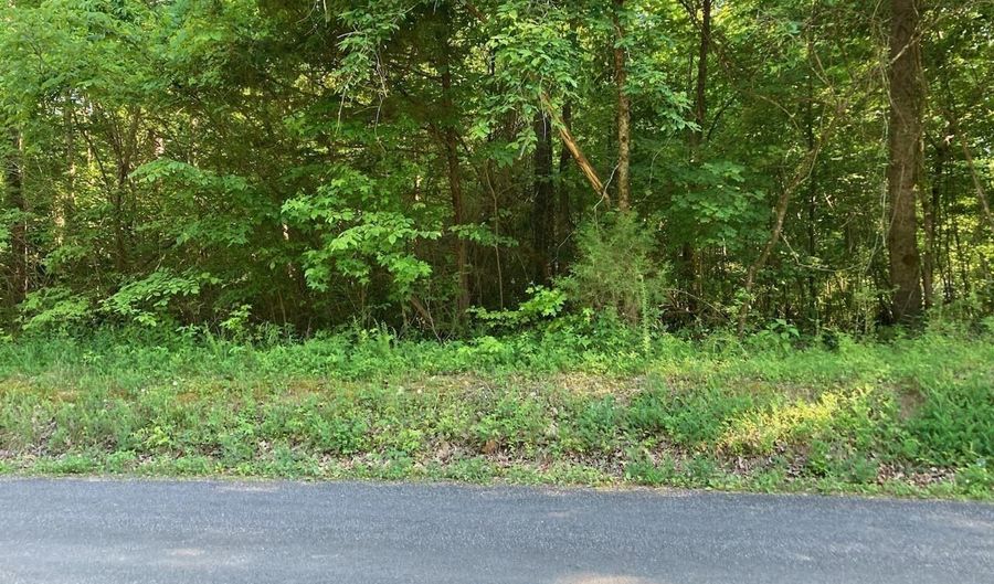 Horner Hollow Road, Birchwood, TN 37308 - 0 Beds, 0 Bath