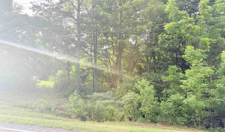 2 Acres Al Hwy 69, Arab, AL 35016 - 0 Beds, 0 Bath