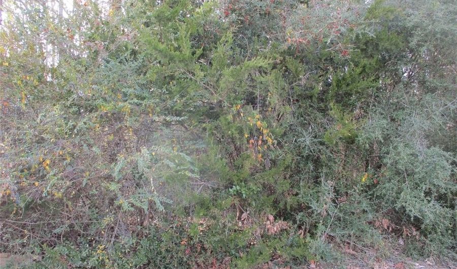 Tbd Wood County Road 2958, Alba, TX 75410 - 0 Beds, 0 Bath