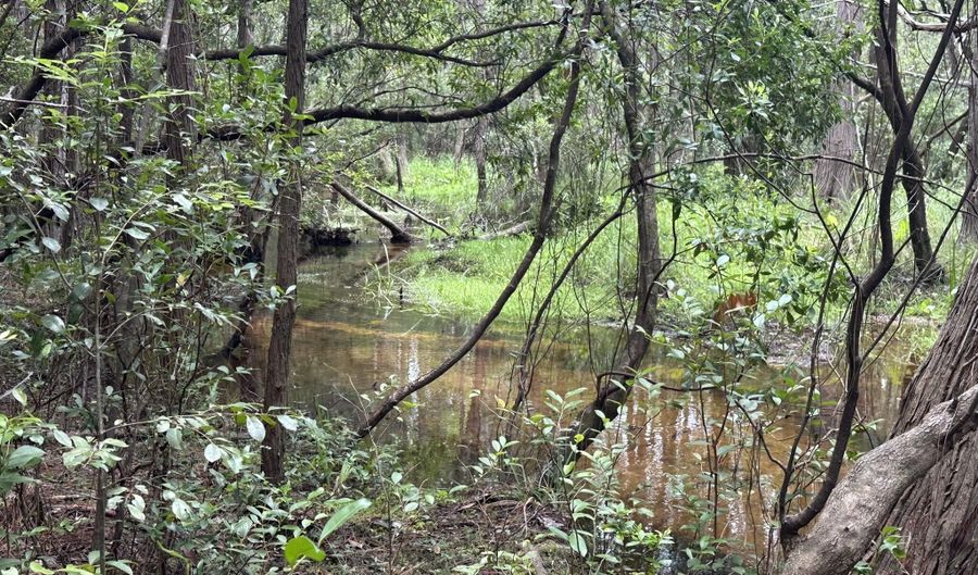 8 5+/- Ac Keyser Mill Rd, Baker, FL 32531 - 0 Beds, 0 Bath