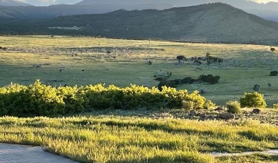 5843 Hart Ranch Dr, Beulah, CO 81023 - 5 Beds, 5 Bath