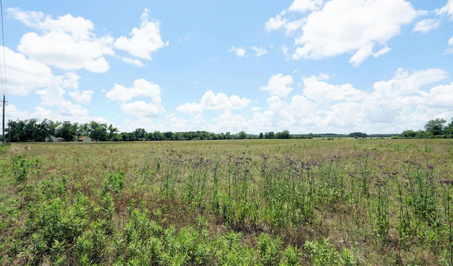 Jack Stokes Road, Baker, FL 32531 - 0 Beds, 0 Bath