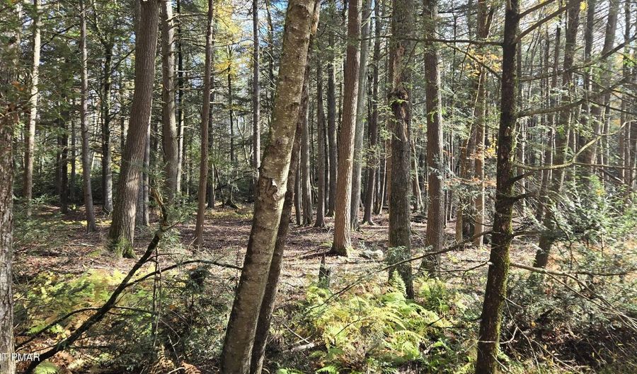 C830 & C83 Lakeside Lane, Albrightsville, PA 18210 - 0 Beds, 0 Bath