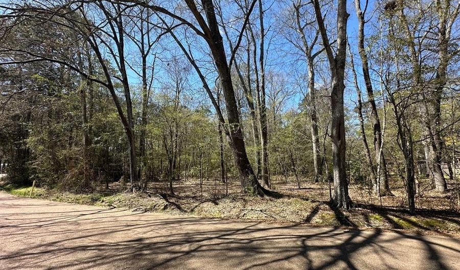 Noble, Brookhaven, MS 39601 - 0 Beds, 0 Bath