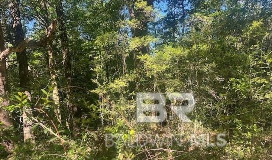 42507 Amelia Rd, Bay Minette, AL 36507 - 0 Beds, 0 Bath