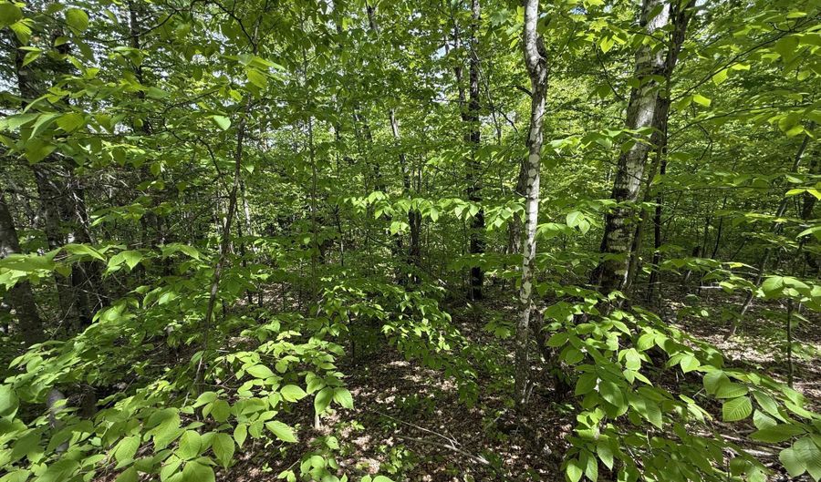 R6L9 Dickey Mills Road, Avon, ME 04966 - 0 Beds, 0 Bath