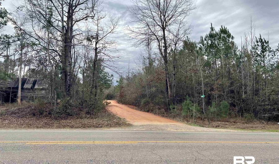 21000 Block Highway 21, Beatrice, AL 36425 - 0 Beds, 0 Bath