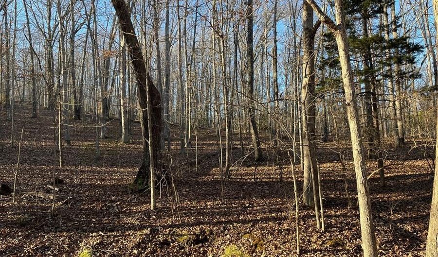 Stockdale Circle, Big Sandy, TN 38221 - 0 Beds, 0 Bath