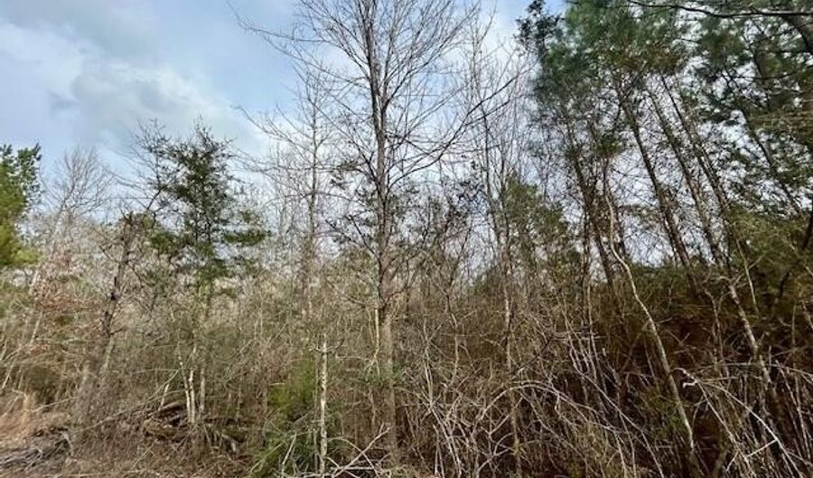 SE Lee Drive, Bogue Chitto, MS 39629 - 0 Beds, 0 Bath