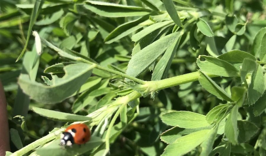 1671 Vista Moon, Fernley, NV 89408 - 0 Beds, 0 Bath