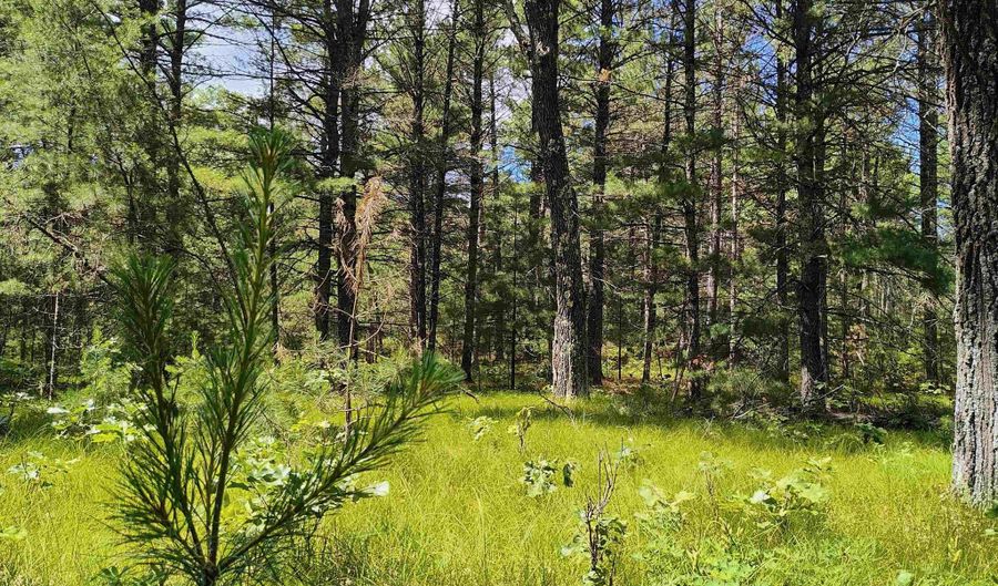 5 6 Acres 16th Ave Lot 3, Arkdale, WI 54613 - 0 Beds, 0 Bath