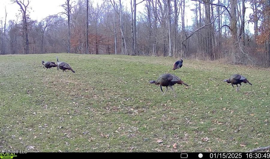 2233 Holloman Rd, Bentonia, MS 39040 - 0 Beds, 0 Bath