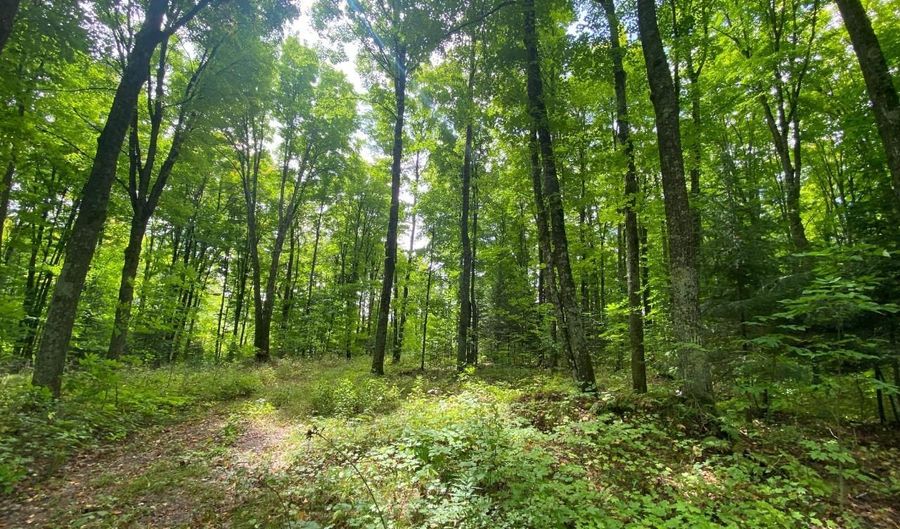 NEAR SCHMIDT LN, Argonne, WI 54511 - 0 Beds, 0 Bath