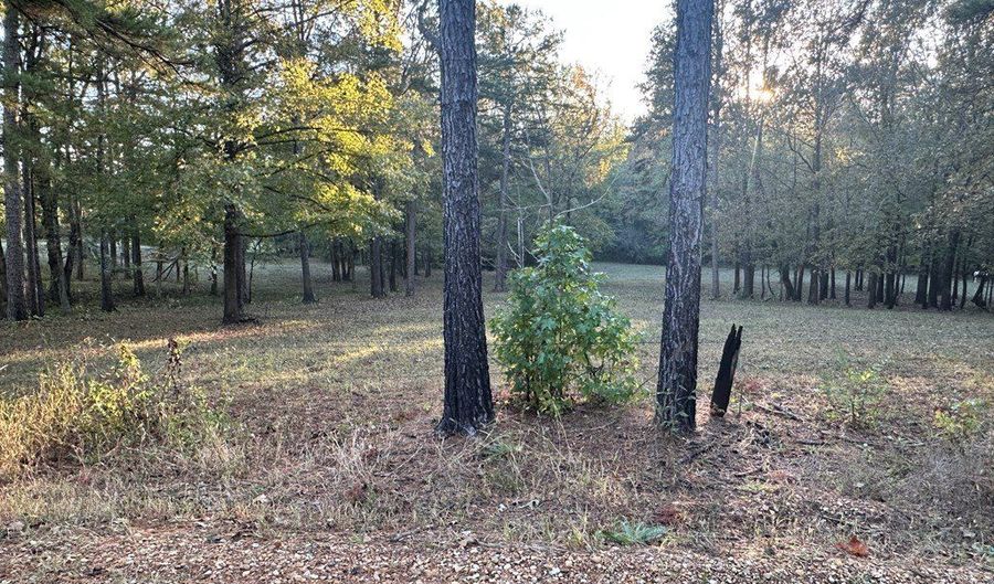 CR 260, Bruce, MS 38915 - 0 Beds, 0 Bath