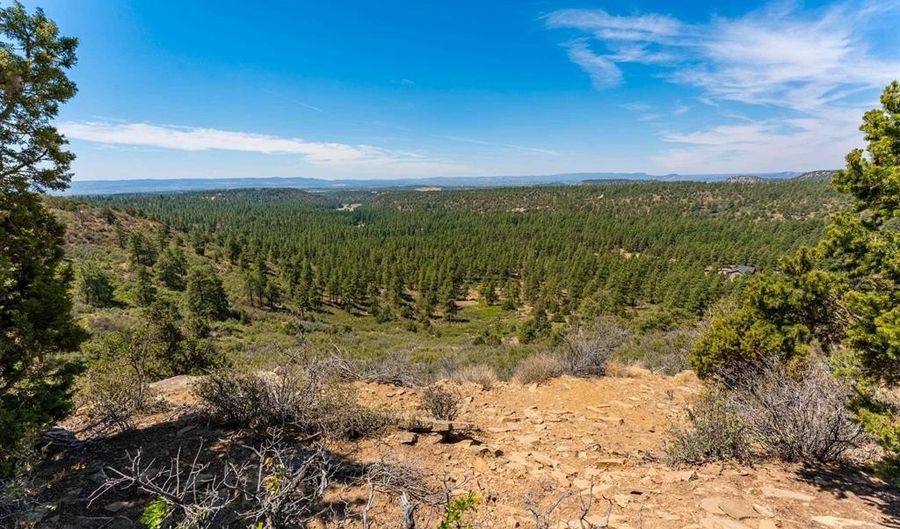 937 Hillcrest Rd, Bayfield, CO 81122 - 0 Beds, 0 Bath