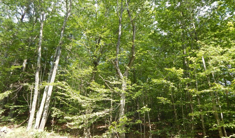 Lot 6 Maplecrest Road, Parsonsfield, ME 04047 - 0 Beds, 0 Bath