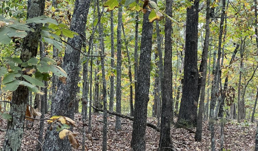 County Road 113 lot 3, Alton, MO 65606 - 0 Beds, 0 Bath