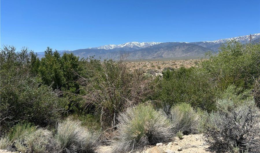 360 MOUNTAIN CREEK Rd, Dyer, NV 89010 - 0 Beds, 0 Bath