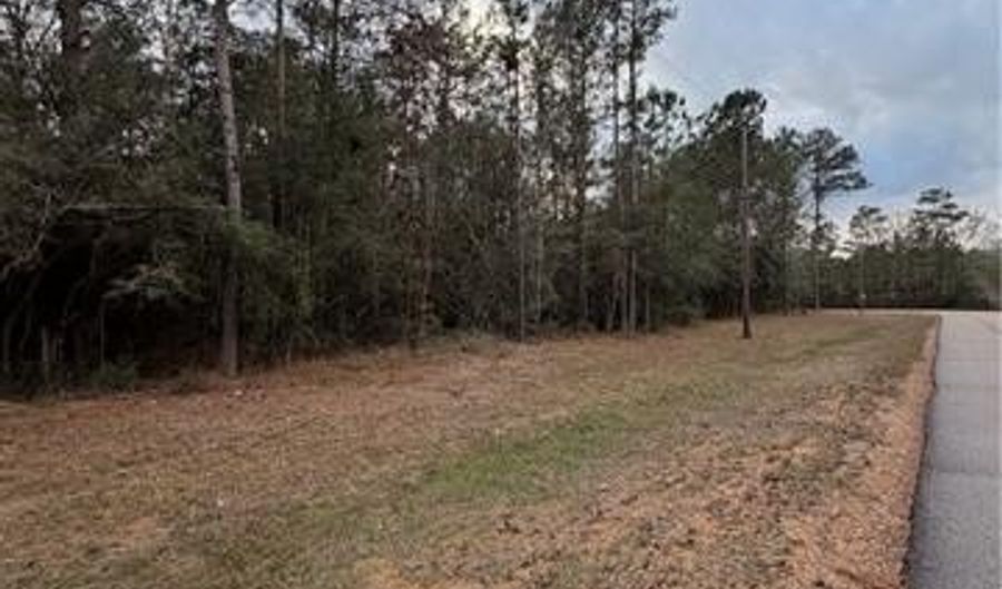 TBD 6.982 AC PROVIDENCE ESTATES Road lot 41A, Amite, LA 70422 - 0 Beds, 0 Bath