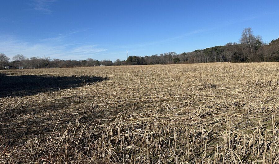 0 Bivalve Lodge Rd, Bivalve, MD 21814 - 0 Beds, 0 Bath