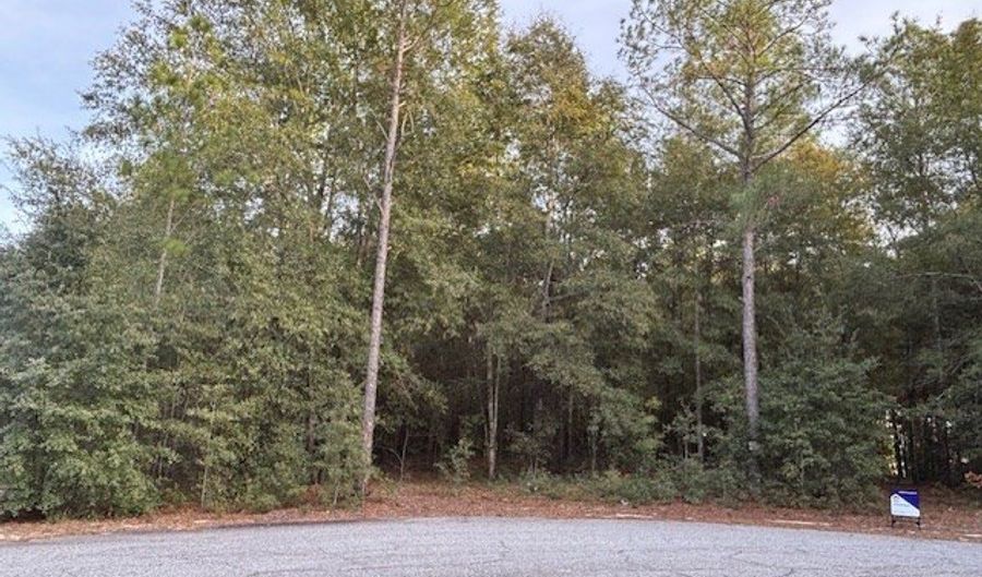 Lot 31 Marie Lane, Bainbridge, GA 39817 - 0 Beds, 0 Bath