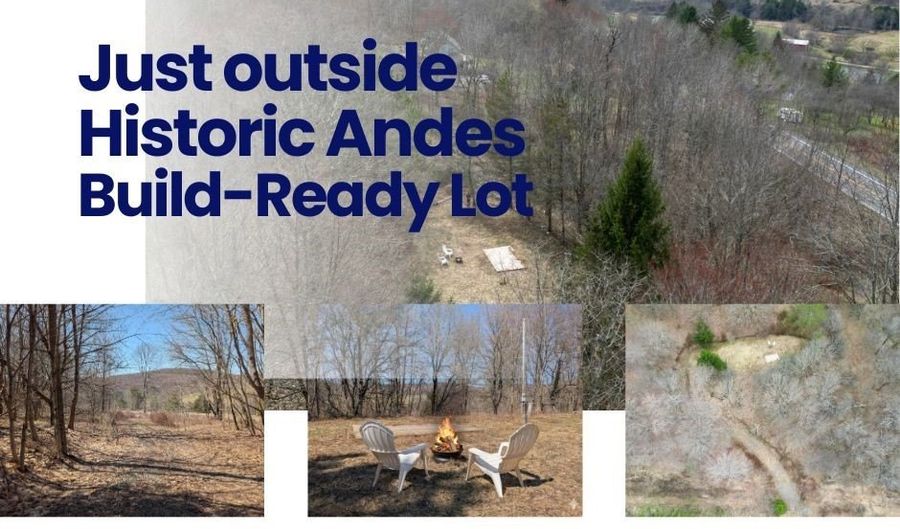 State Highway 28, Andes, NY 13731 - 0 Beds, 0 Bath