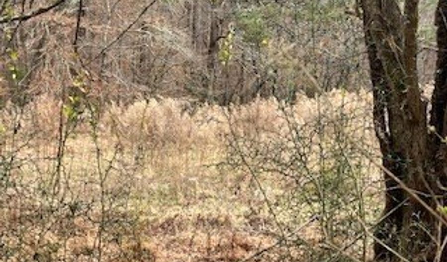 Julius Bridge Road, Ball Ground, GA 30107 - 0 Beds, 0 Bath