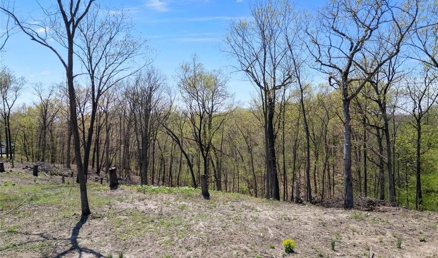 0 Iron Mountain Bluff-Wicks, Arnold, MO 63010 - 0 Beds, 0 Bath