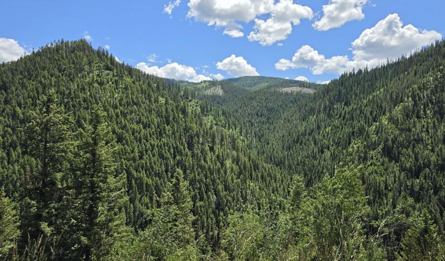 480 Dunn Peak Rd, Avery, ID 83802 - 0 Beds, 0 Bath