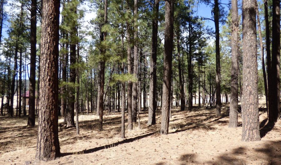 8 B County Road 2267 Escudilla Rd, Alpine, AZ 85920 - 0 Beds, 0 Bath
