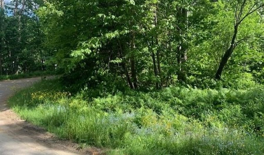 Alpenhof Drive, Bethlehem, NH 03574 - 0 Beds, 0 Bath