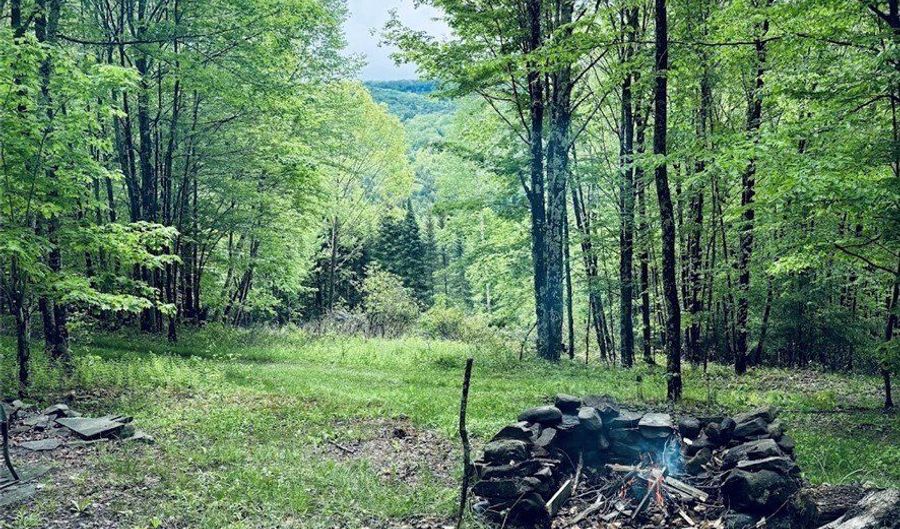 State Highway 30, Andes, NY 13731 - 0 Beds, 0 Bath
