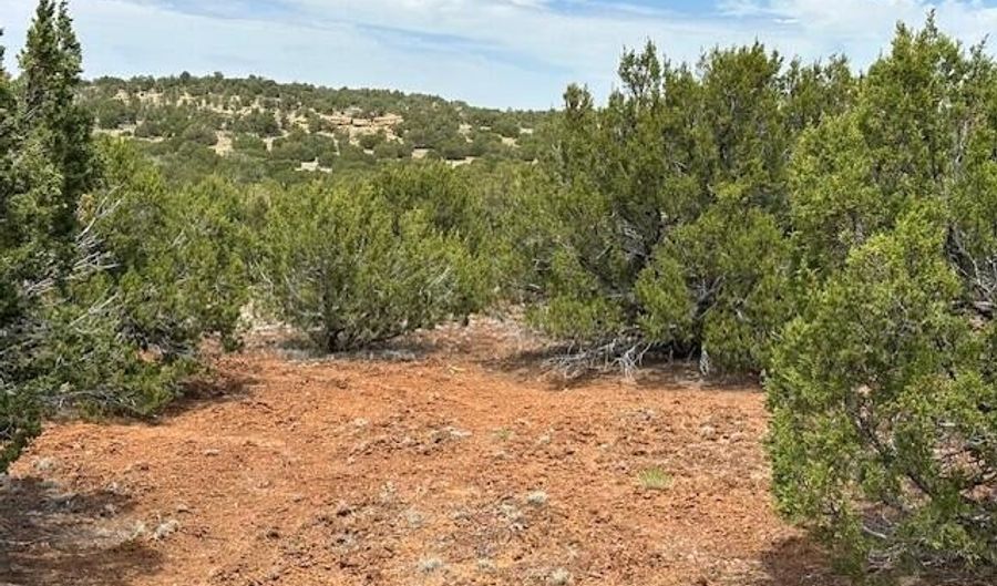 40 County Road 3048, Concho, AZ 85924 - 0 Beds, 0 Bath