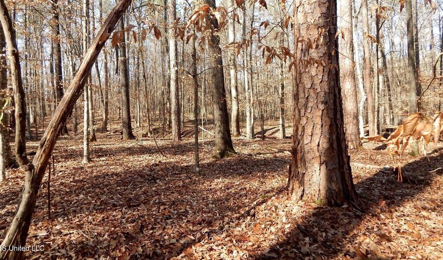 590 247 Country Rd, Bruce, MS 38915 - 0 Beds, 0 Bath