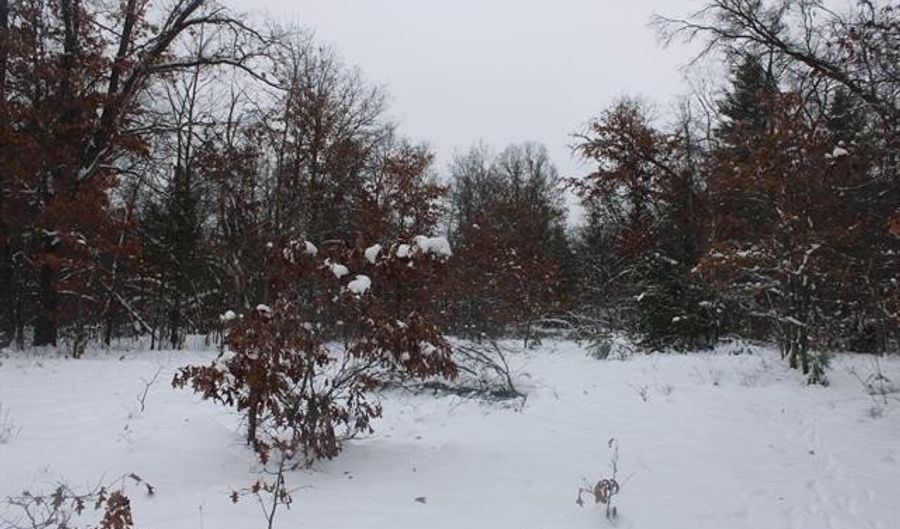 VL Good. Road, Alger, MI 48610 - 0 Beds, 0 Bath