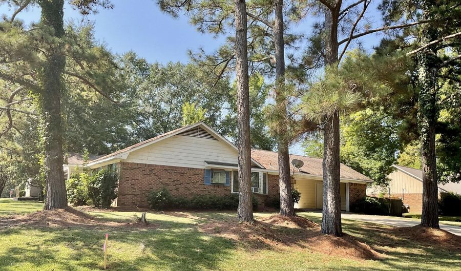 114 Bellegrove Blvd, Brandon, MS 39047 - 3 Beds, 2 Bath