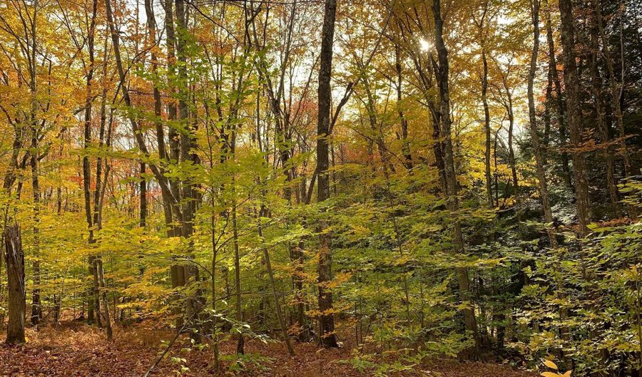 L22.2 Alder Pond Road, Andes, NY 13740 - 0 Beds, 0 Bath