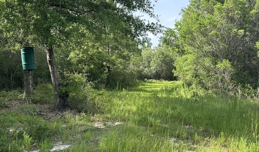 Parcel A Old River Road, Baker, FL 32531 - 0 Beds, 0 Bath